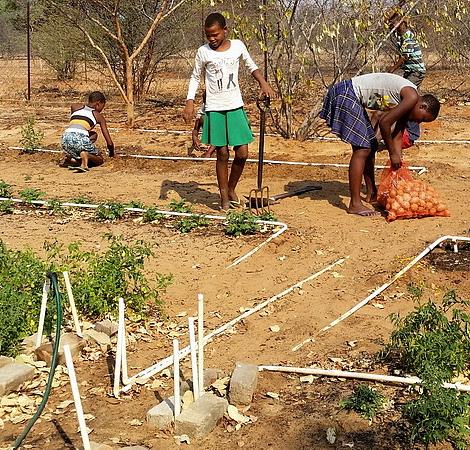 Namibia - Buschprojekt