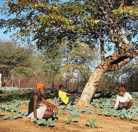 Namibia - Buschprojekt